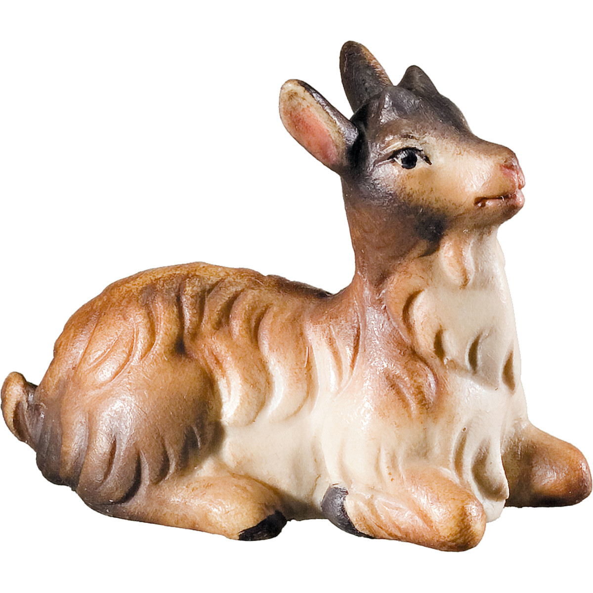 Cabrito agachado